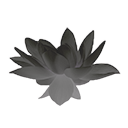 Цветок серого лотоса
