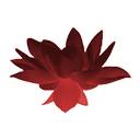 Цветок багрового лотоса
