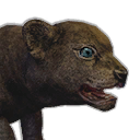 Файл:Детеныш кугуара.png