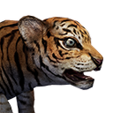Файл:Детеныш лесного когтя.png