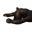 Файл:Скелет пантеры.png