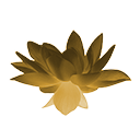 Цветок золотого лотоса