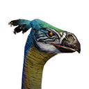 Файл:Синий страус.png