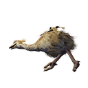 Файл:Скелет страуса.png