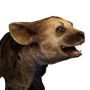 Файл:Земляной волчонок.png