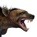 Файл:Пятнистая гиена.png