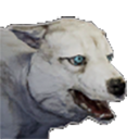 Файл:Щенок снежного волка.png
