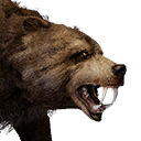 Файл:Ручной медведь.png