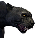 Файл:Крупная пантера.png