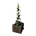 Файл:Декоративная кадка(Разрыхлитель).png