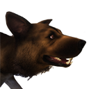 Файл:Дикий пес(коричневый).png