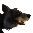Файл:Крупный дикий пес(черный).png