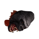 Файл:Голова гориллы.png