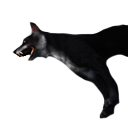 Файл:Костяк дикого пса.png