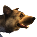 Файл:Дикий пес(светло-коричневый).png