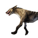Файл:Костяк земляного волка.png