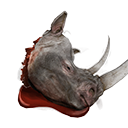 Файл:Голова белого носорога.png