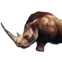 Файл:Костяк сиптахского носорога.png