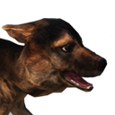 Файл:Игривый щенок.png