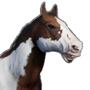 Файл:Лошадь(пятнистая).png