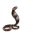 Файл:Детеныш кобры.png