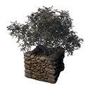 Файл:Декоративная кадка(Адамов корень).png