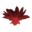 Цветок багрового лотоса.png