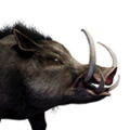Миниатюра для версии от 16:17, 20 ноября 2021