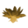 Цветок золотого лотоса.png