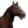 Лошадь(коричневая).png