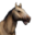Лошадь(светло-коричневая).png
