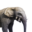 Допотопный слоненок.png