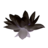 Цветок черного лотоса.png