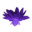 Цветок пурпурного лотоса.png