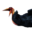Костяк сиптахского пеликана.png