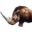 Костяк сиптахского носорога.png